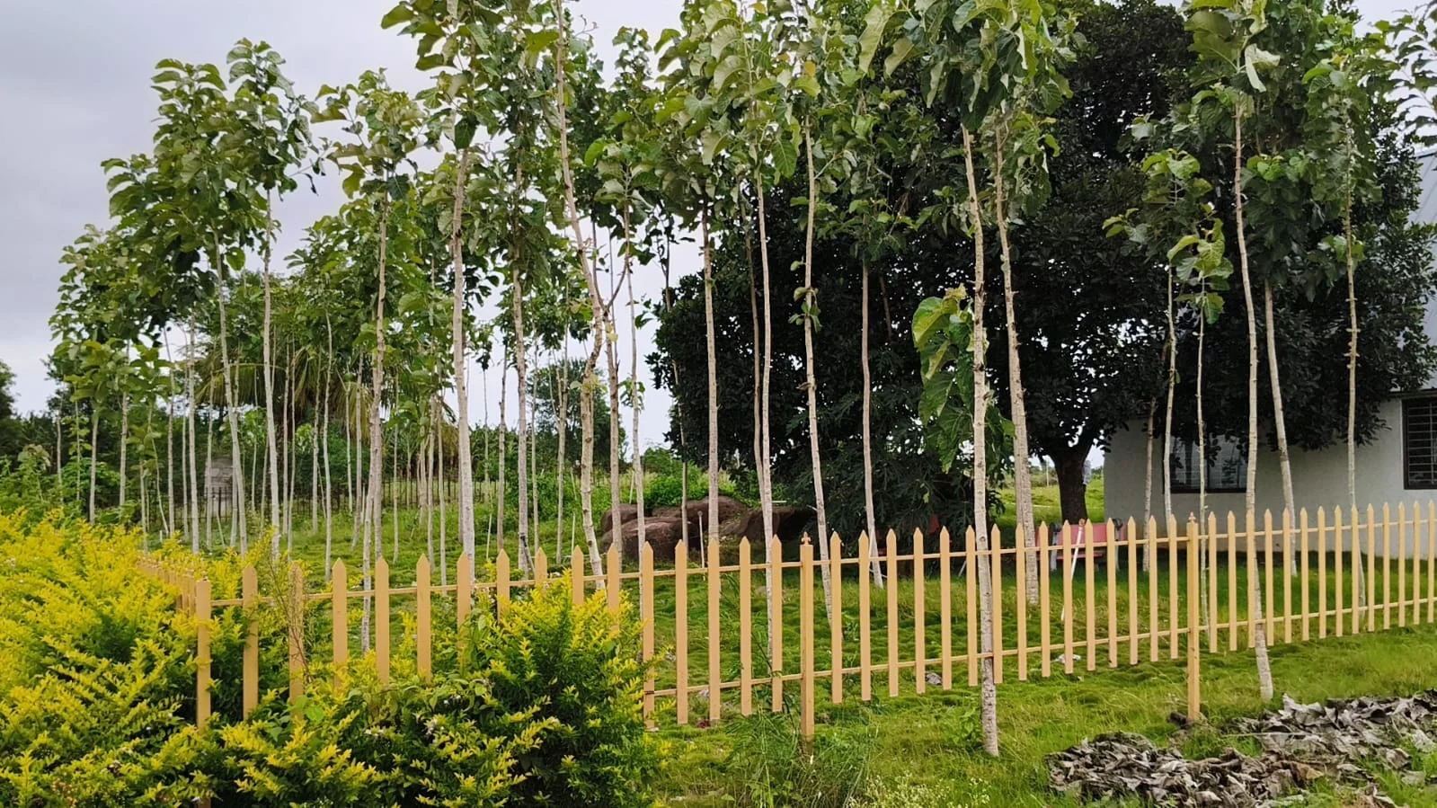 Auspicious project entrance gate and driveway — actual site photograph