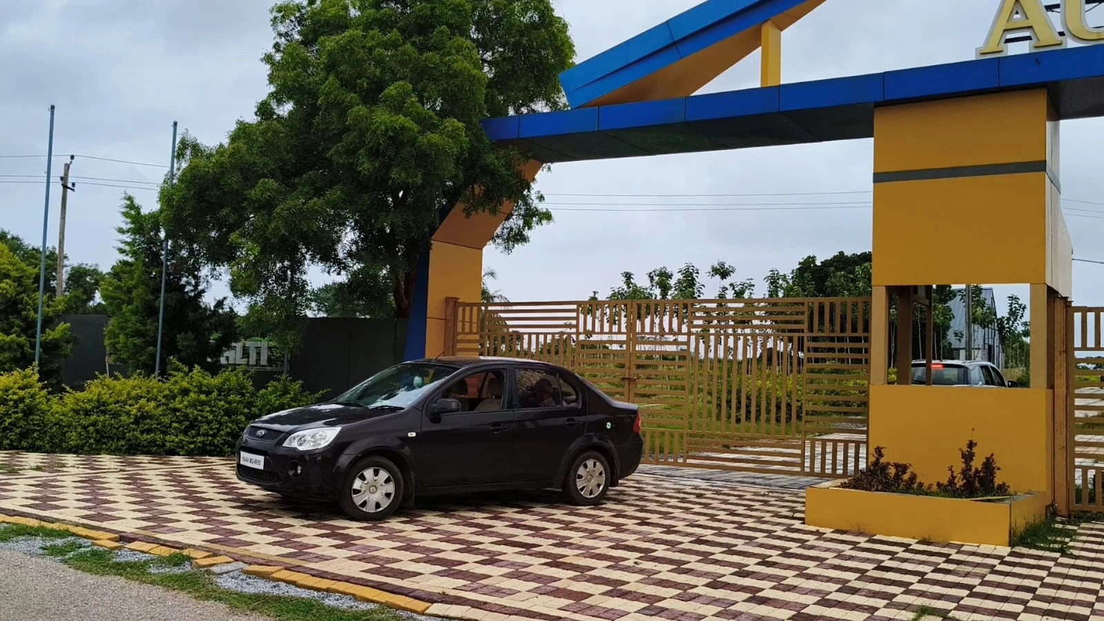 Green plantation and fenced project area — actual site photograph